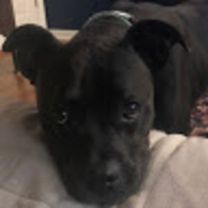 Meet your Posher, Jayne